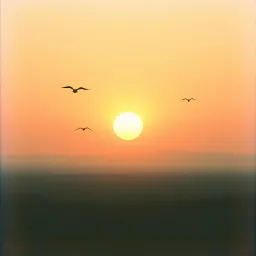 Morning Bliss Together