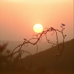 L'ULTIMA ORA DI SOLE
