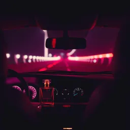 Uber driver