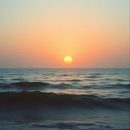 Rise Above