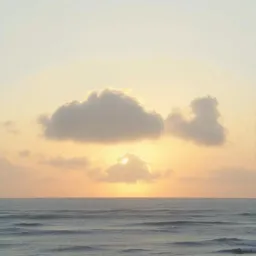 God's Creation.
