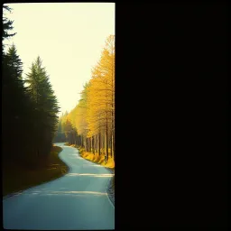 Two Roads, One Home