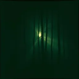 The Flicker Fades (Shisui)