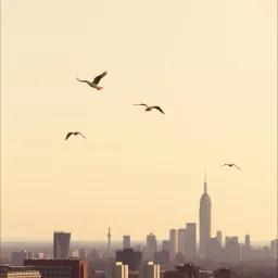 Beneath the Skyline