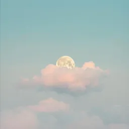 Dream Baby Dream