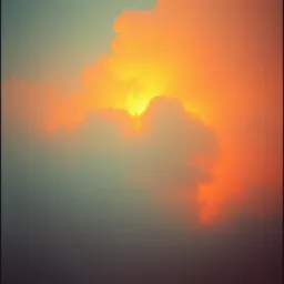 Wildfire