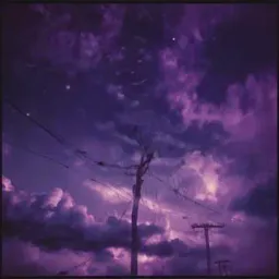 Phoenix Light