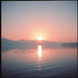 New Day