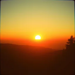 Rise Above