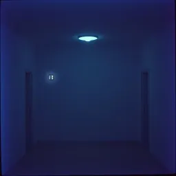 WTH What's That Sound