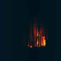 Rise Up From Ashes