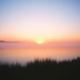 Awake