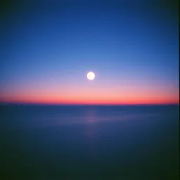 Consciousness