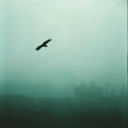 Run