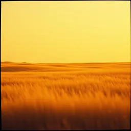 Chasing the Dawn