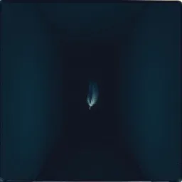 Whispers in the Dark