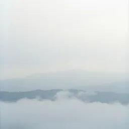 Silent Echoes