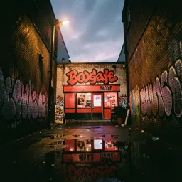 BODEGA BADDIE(Solo.Hana)