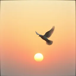 Hallelujah in the Light