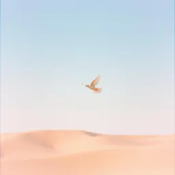 Yahweh Hallelujah