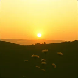 Tomorrow's Bright Light