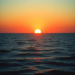 The sun