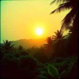 Asa Sumba