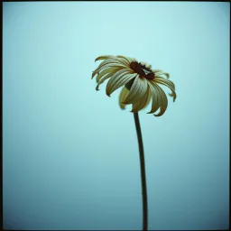 Maybe not for me