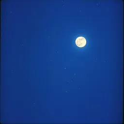 Midnight Serenade 