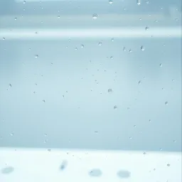 Rainy Reverie