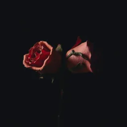 Lost love