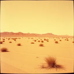 أنيك عشاير أنا