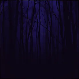 Watch the Shadows