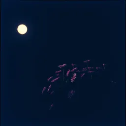 Piano acoustic dark ballad male with choir