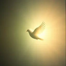 HOLY SPIRIT