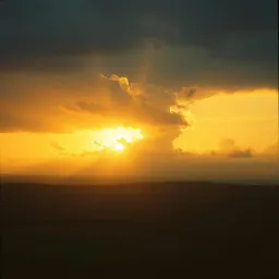 Sunshine Through the Storm