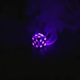 The Last Gamble