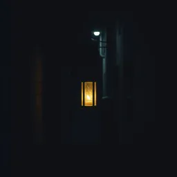 Silent Shadows