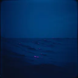 No Lights On