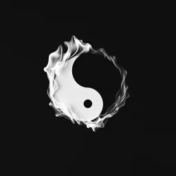 The Yin Yang Theory