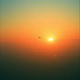 Chasing Dawn