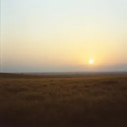 Dusk Of Me