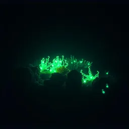 Diving Deeper