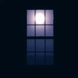 Through the Window