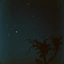 Sous les Étoiles