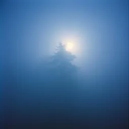 Your Shadow Still Remains