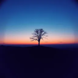 Since you’ve been gone