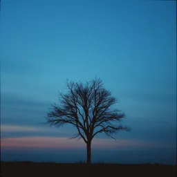 Un Jour Sans Moi