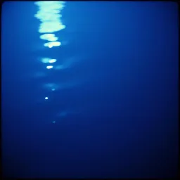 Shadows In The Water
