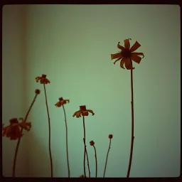 "When Love Dies"